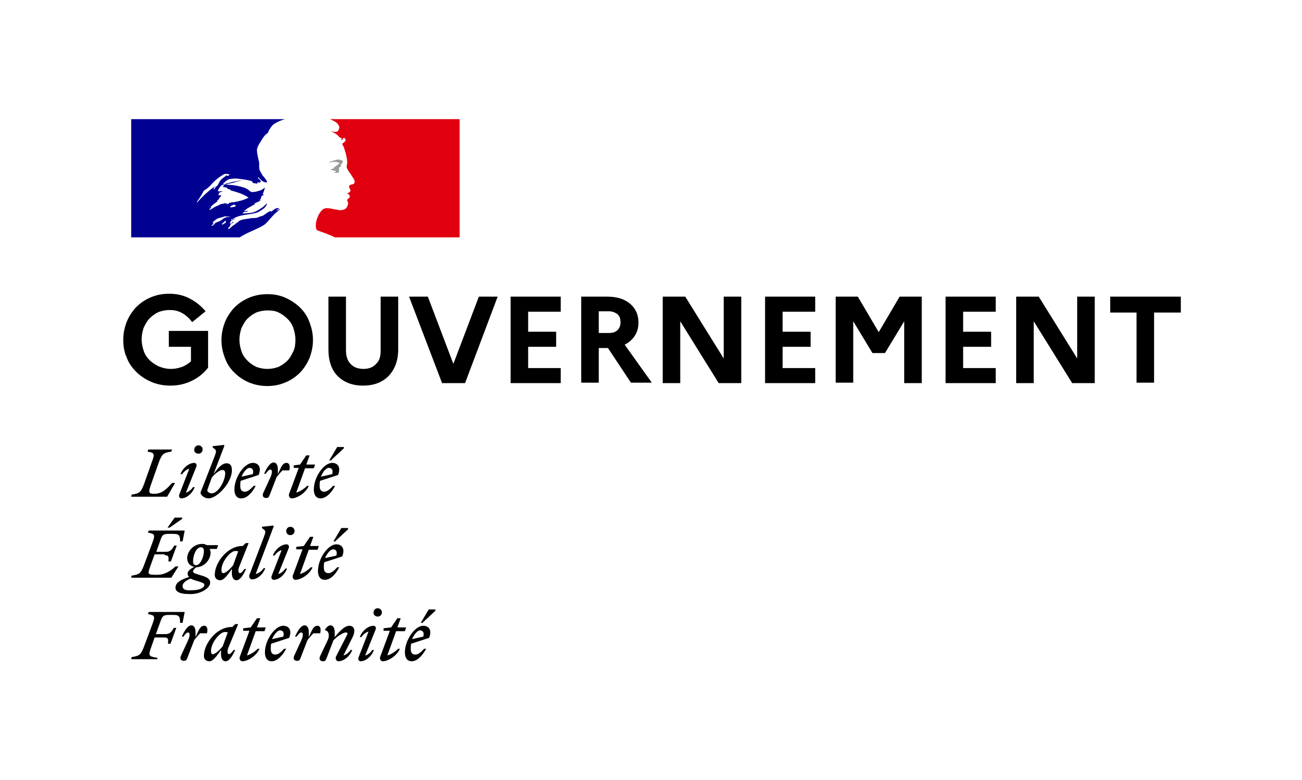 Gouvernement de la République Française